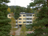 Korpiruoho